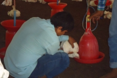 DSC00648